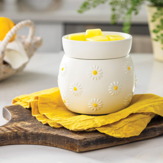 Tart Warmers - Wax Melt Fragrance Warmer